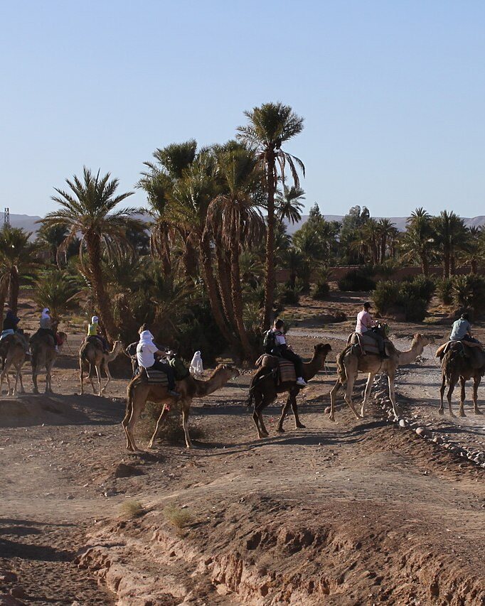 Zagora 2 Days — Desert Tour — photo 1 of 7