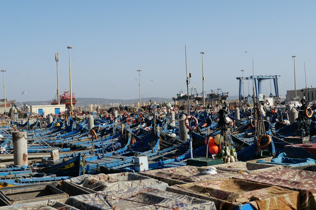 Essaouira Coast Day Trip — photo 1 of 3