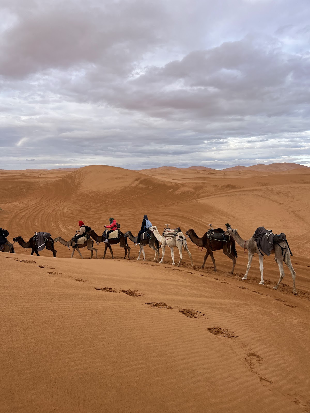 Merzouga & Erg Chebbi — The great golden sea
